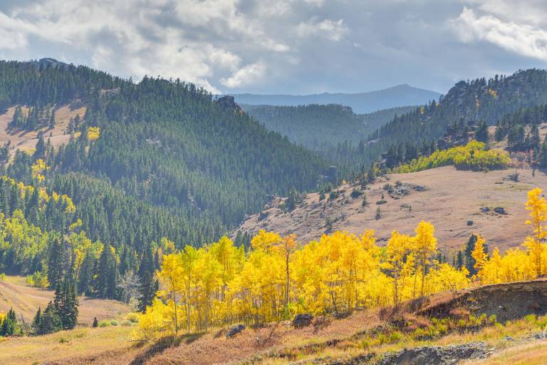 7 Mi to Bighorn Nat’l Forest: Dog-Friendly Home — photo 3
