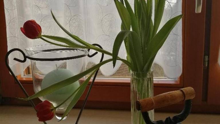 foto32
