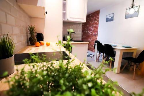 Apartament Tarnobrzeg