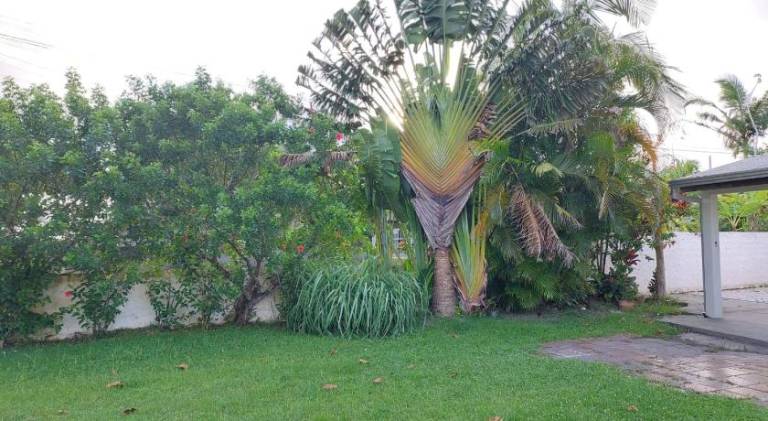 foto8
