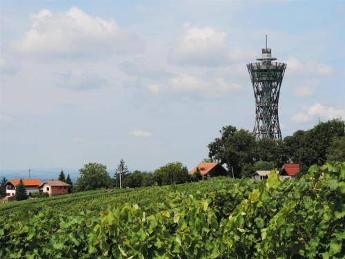 hiša Lendava