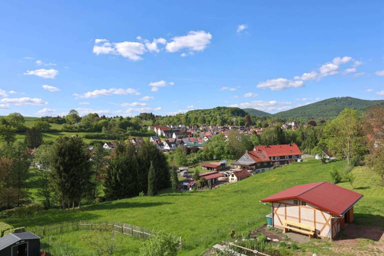 foto22
