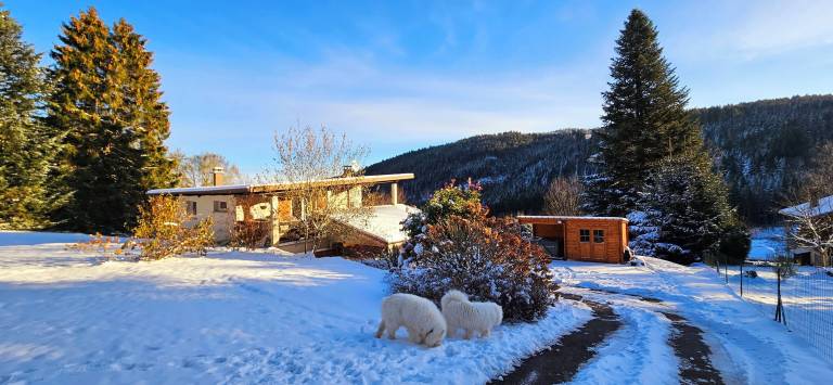 Chalet  Anould