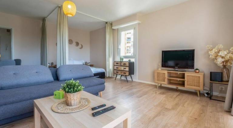 Holiday apartment | Dogs allowed in Sausheim