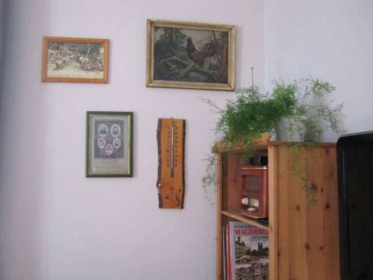 foto8