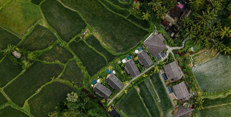 Resort Ubud