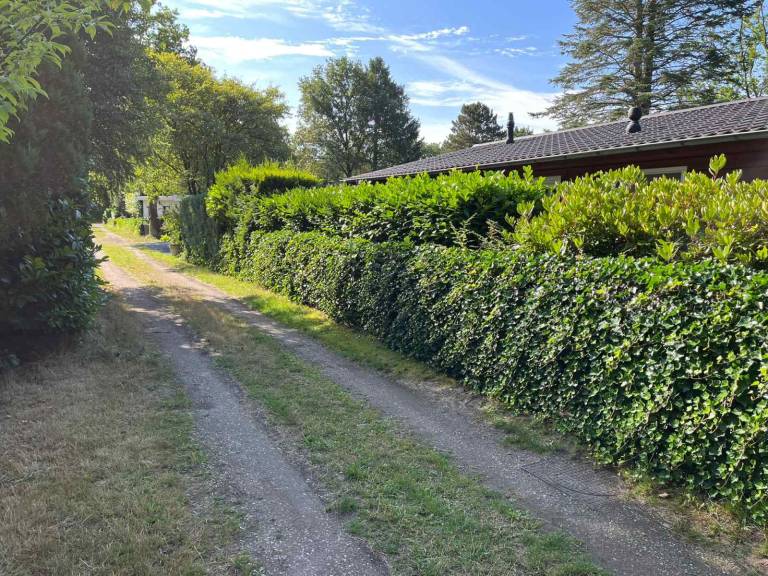 foto20