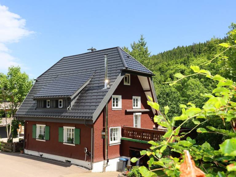 Ferienhaus mit Hund in Sankt Blasien, Höchenschwand f&uuml;r max. 6 Personen