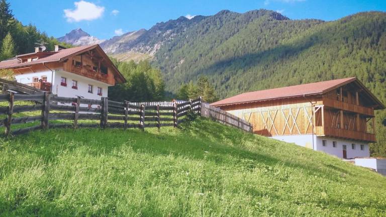 Ferienhaus  Steinhaus