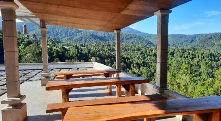 Munduk Twin Homestay — photo 2