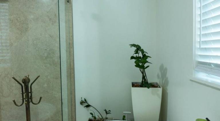 Ocean Beach Guesthouse — photo 4