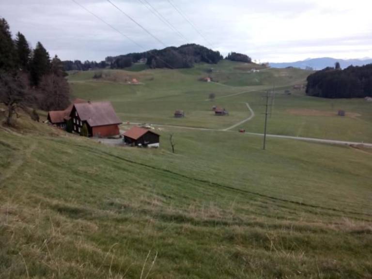 foto19