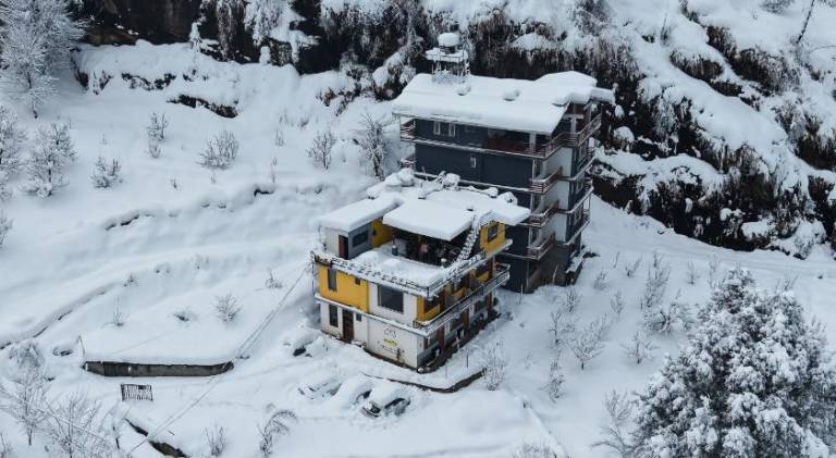 Firefly Hostel in Manali