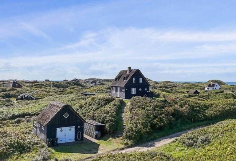 Ferienhaus mit Hund inSaltum, Blokhus  f&uuml;r max. 6 Personen