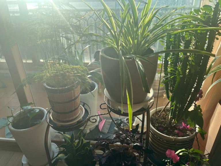 foto12