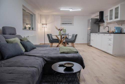 Apartma Arja Vas