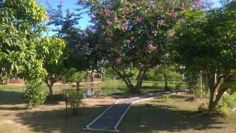 foto6