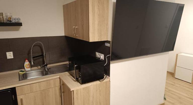 Apartment | Pet-friendly — photo 3