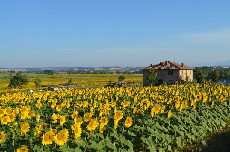 Casa Panicale