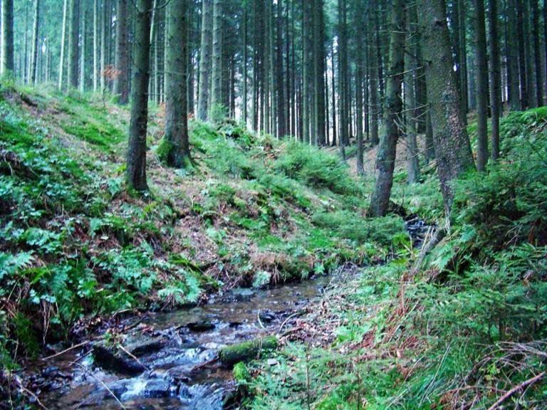 Privatzimmer Eslohe (Sauerland)