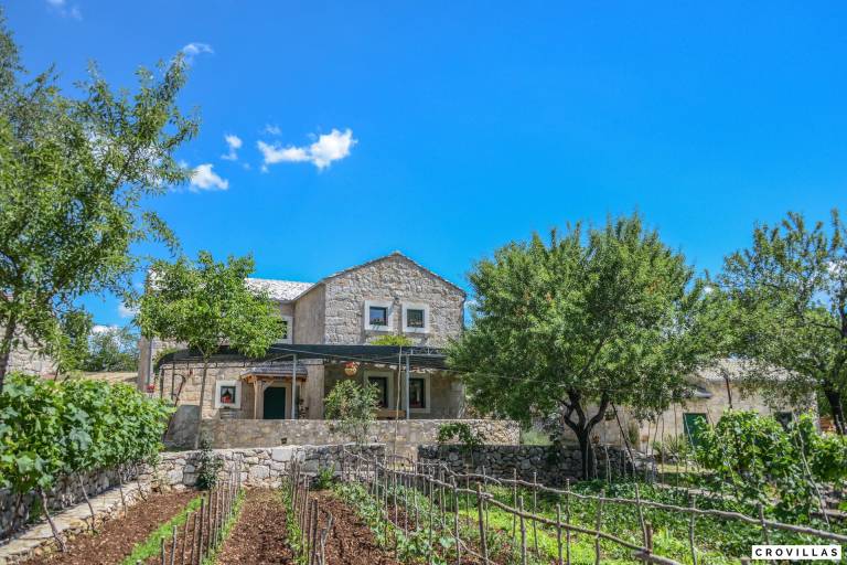 Vila  Donji Vinjani