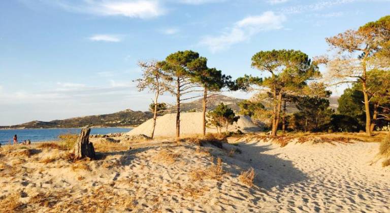 Camping Dolce Vita in Calvi