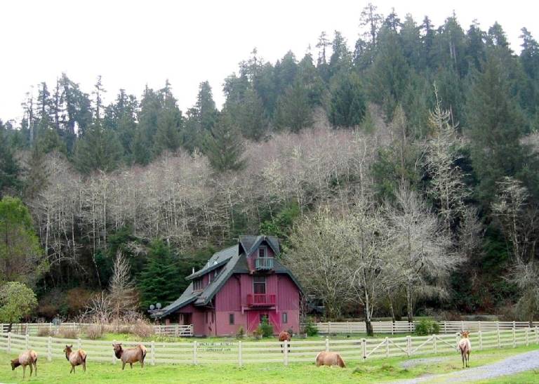 Cabin Humboldt County