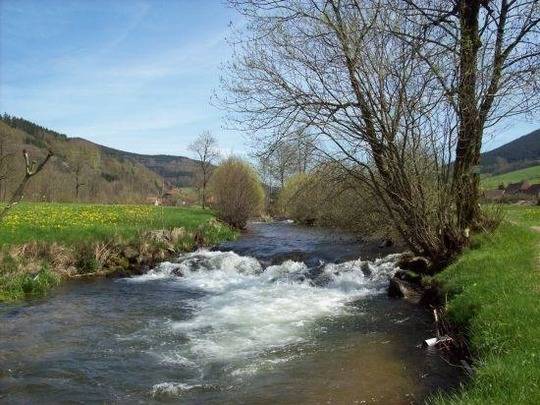 foto13