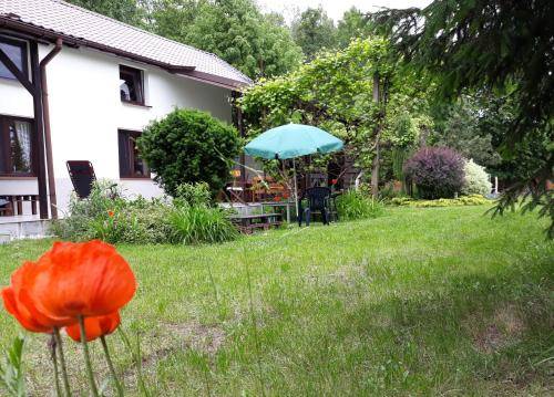 Apartament Myszyniec