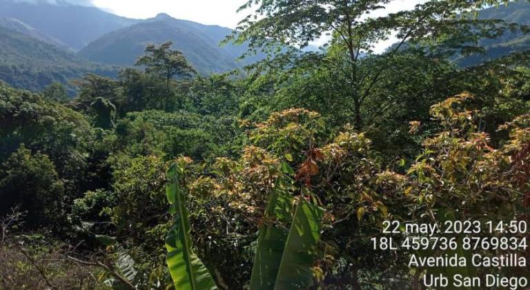 foto41