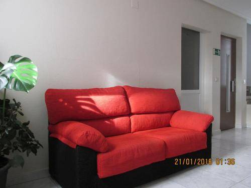 foto7