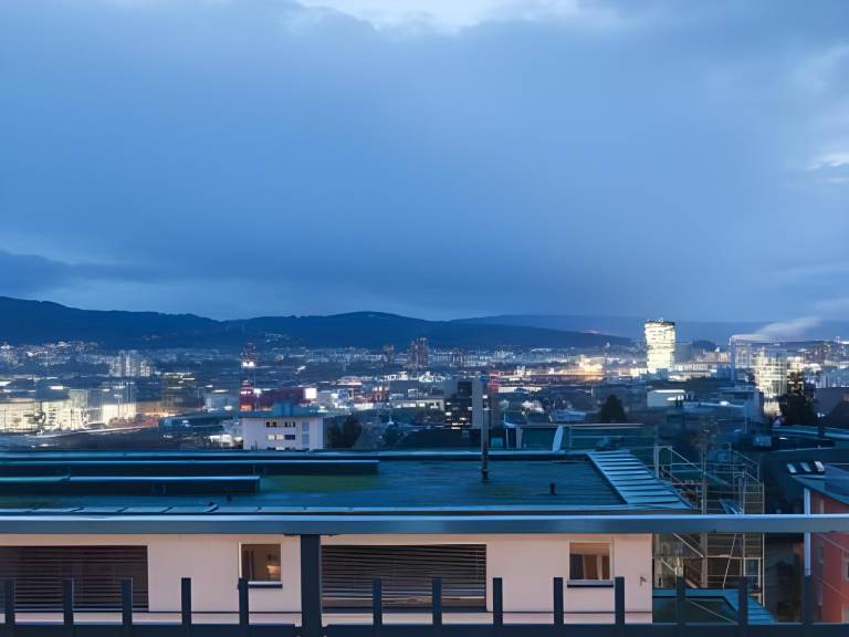 Swiss Star Zurich University — photo 4