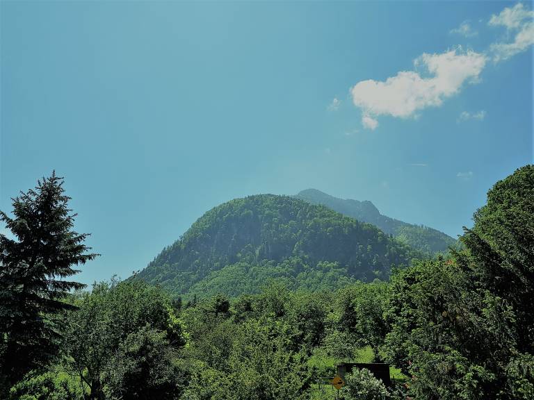 foto31