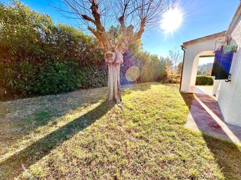 Villa with yard — photo 3