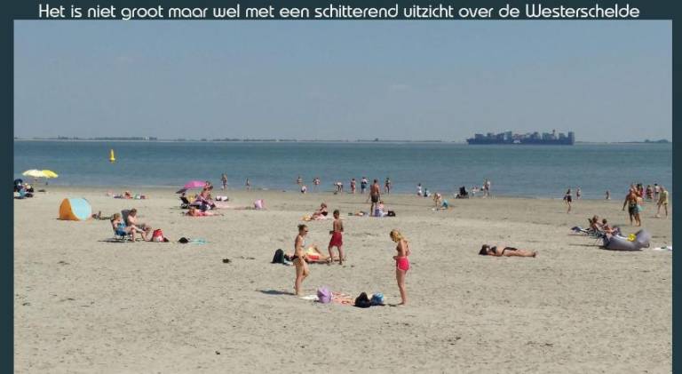 foto39