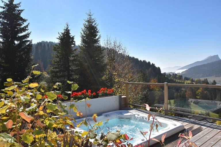 Chalet, view mountain, fitness, sauna, terrace, balcony, fireplace or stove, parking, 190m² — photo 4