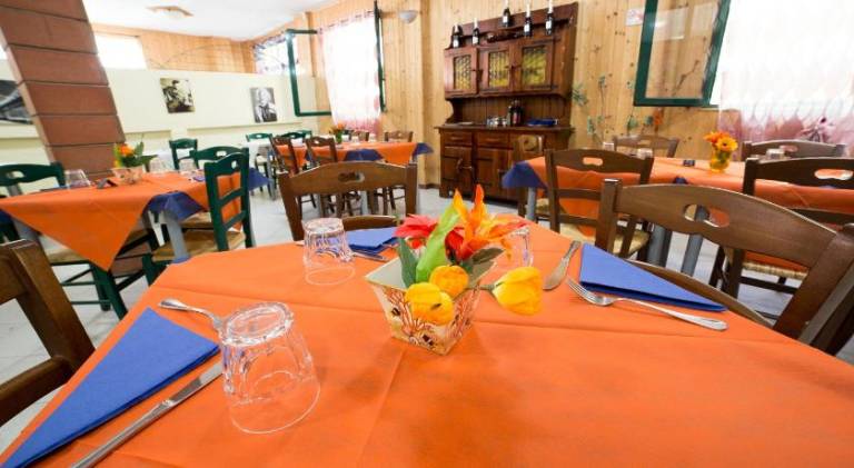 Camping dei Tigli — photo 4
