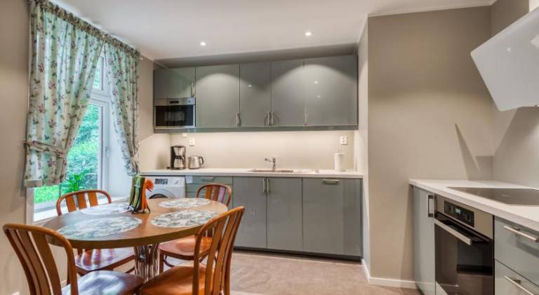 Serviced apartment with terrace — photo 4