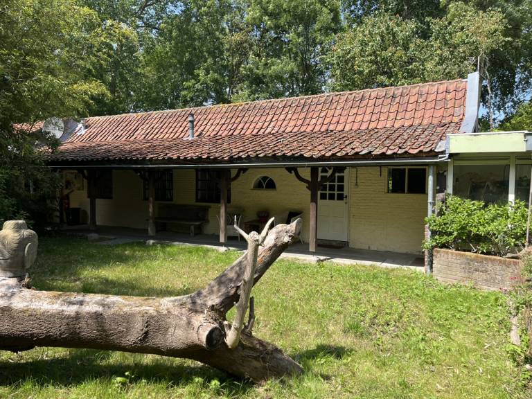 foto26