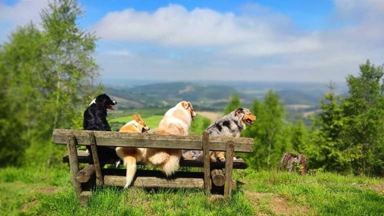 foto37