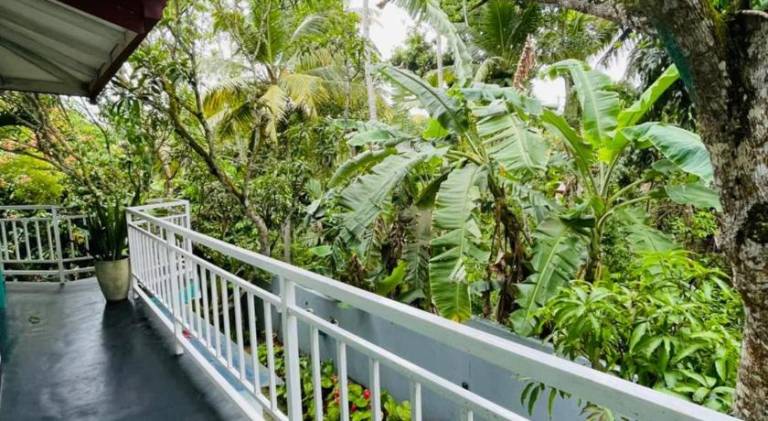 Midigama Home Stay Rooms — photo 3