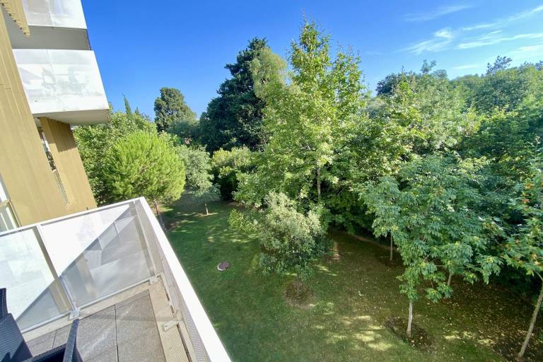 foto12