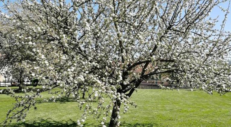 25 m&sup2; Ferienwohnung