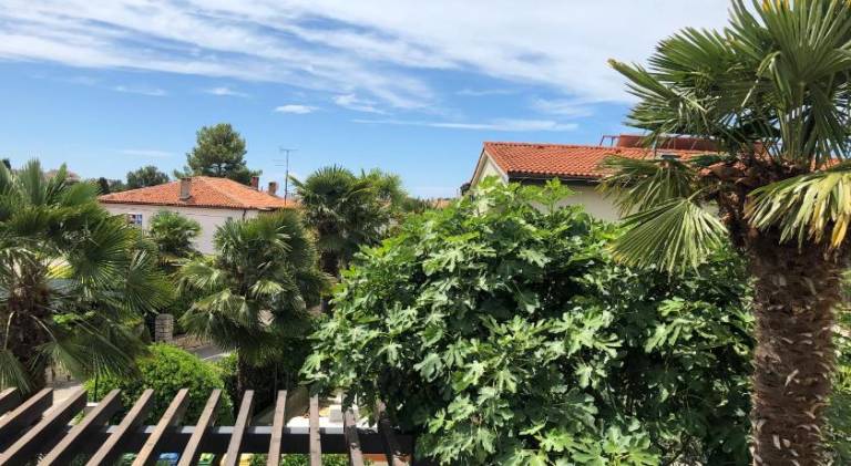 Holiday apartment with 1 room for 2 persons — photo 4