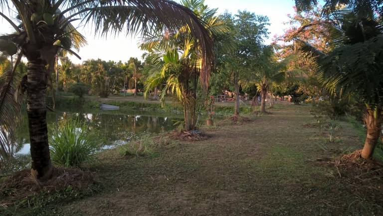 foto5