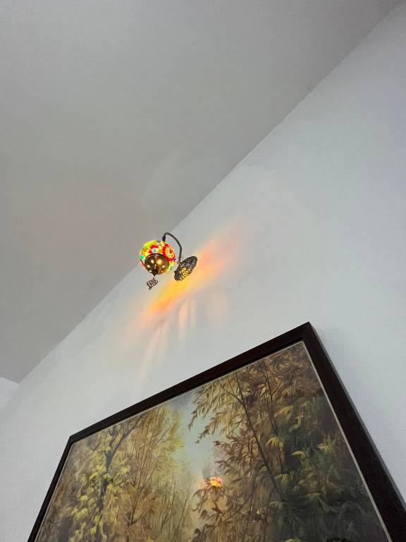 foto6
