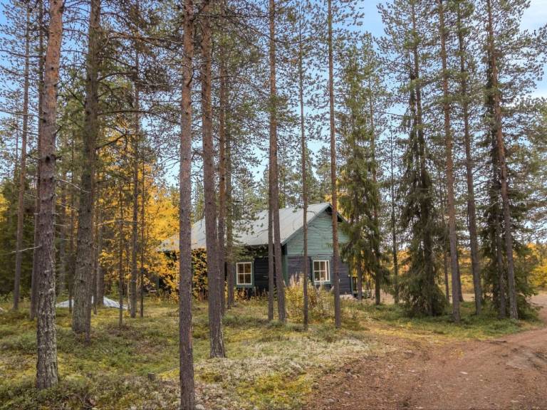 Ferienhaus mit Hund in Kittilä, Finnland für max. 6 Gäste Ferienhaus mit Hund in Kittilä, Finnland für max. 6 Gäste