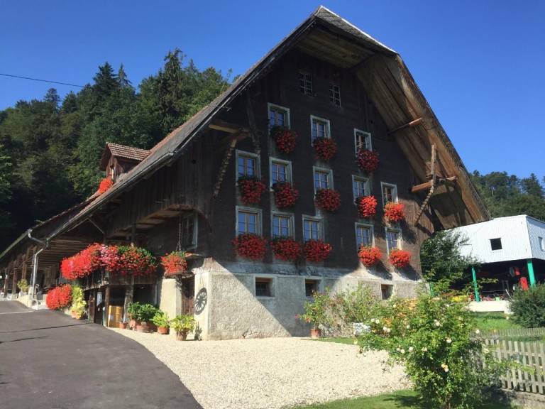 foto17