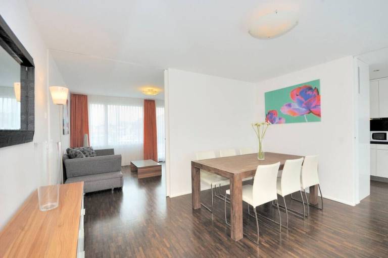 Apartment Wiedikon