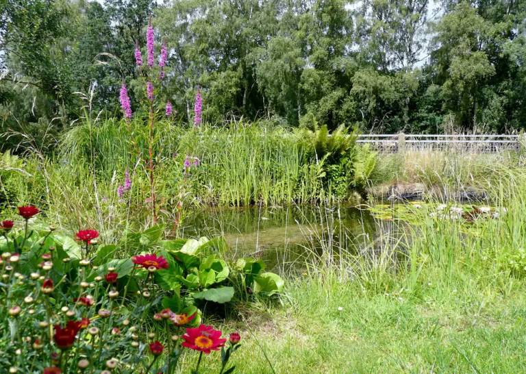 Ferienwohnung Reppenstedt